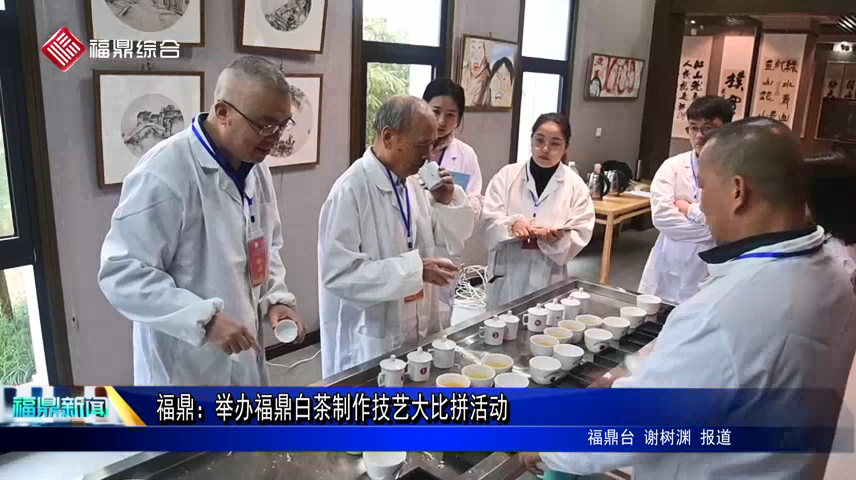 福鼎：舉辦福鼎白茶制作技藝大比拼活動