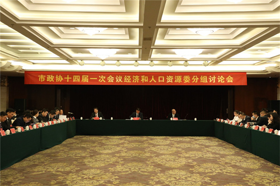 林青參加市政協十四屆一次會議經濟與人口資源委分組討論