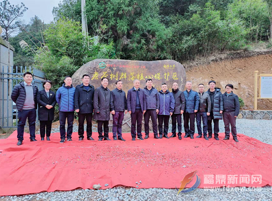 國家農產品地理標志保護工程“老茶樹群落核心保護區”建成揭牌
