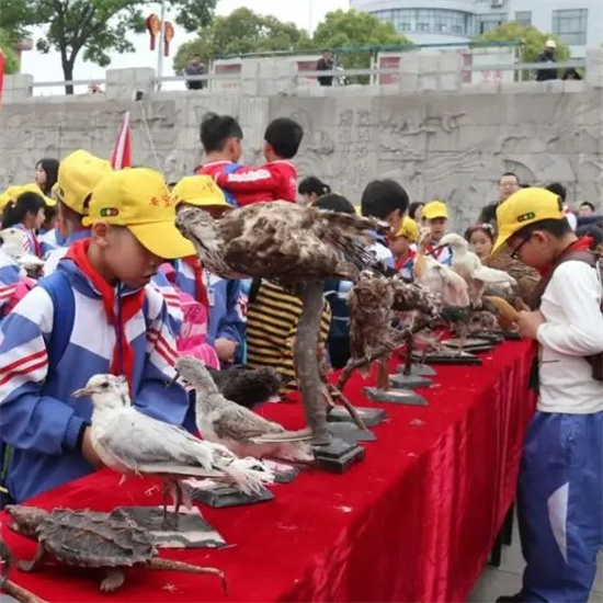 福鼎兩項志愿服務項目榮獲省級獎項