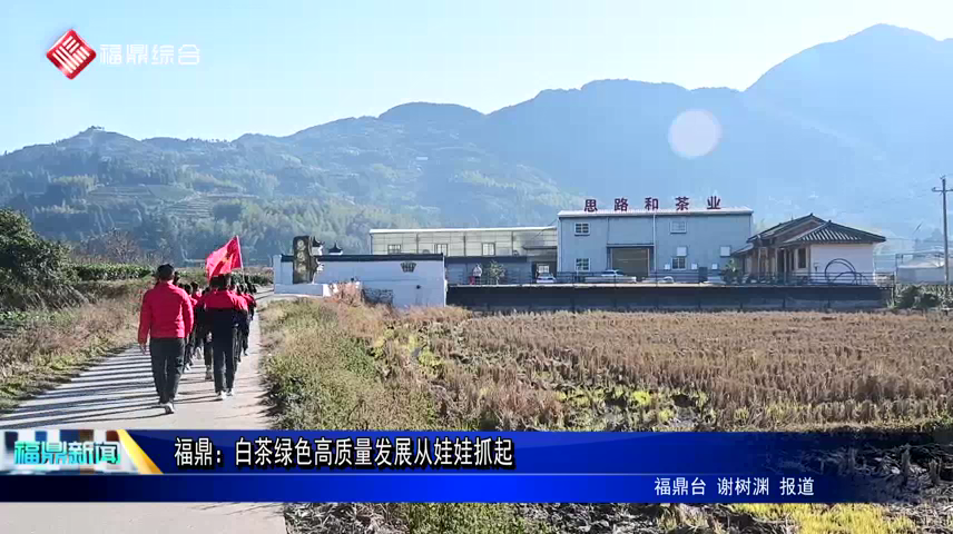 福鼎：白茶綠色高質量發展從娃娃抓起