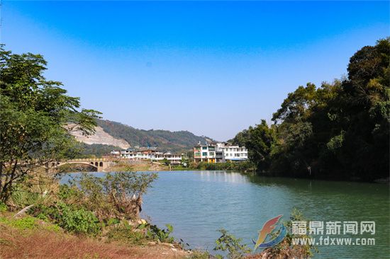 福鼎車洋村：生態鄉村美 業興富路寬