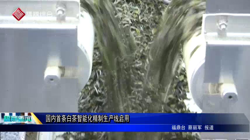 國內首條白茶智能化精制生產線啟用