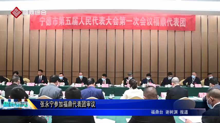 張永寧參加福鼎代表團審議