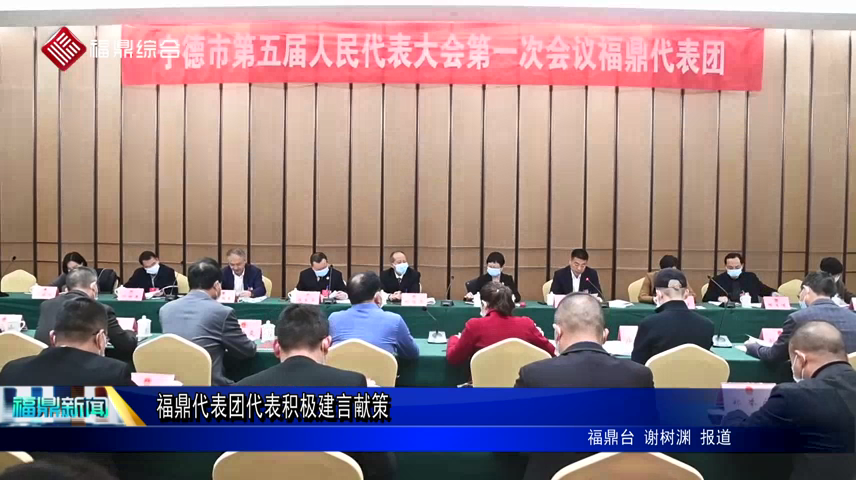 福鼎代表團代表積極建言獻策