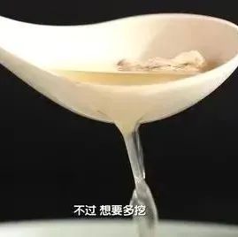 福鼎美食霸屏央視《味道》，好吃到讓人轉圈圈！