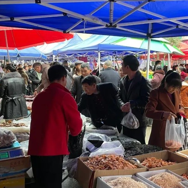 【網絡中國節·春節】要過年了，走，帶你趕個農村大集！