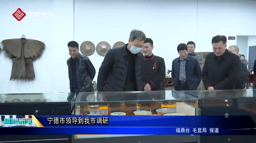 寧德市領導到我市調研