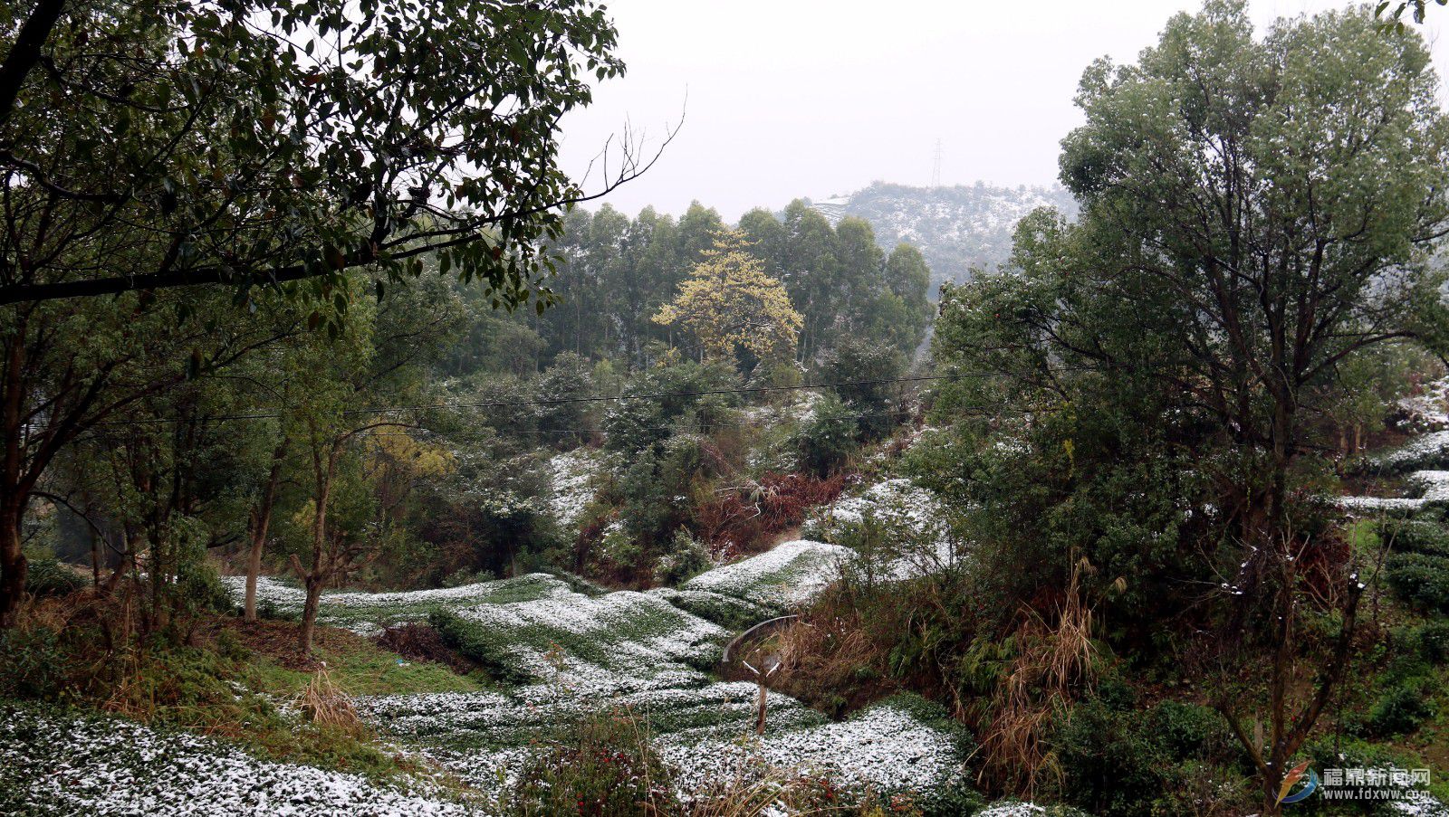 山上下雪山下降雨 太陽閣賞雪正當時