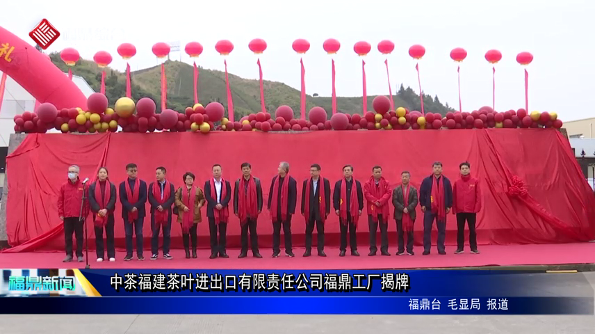 中茶福建茶葉進出口有限責任公司福鼎工廠揭牌