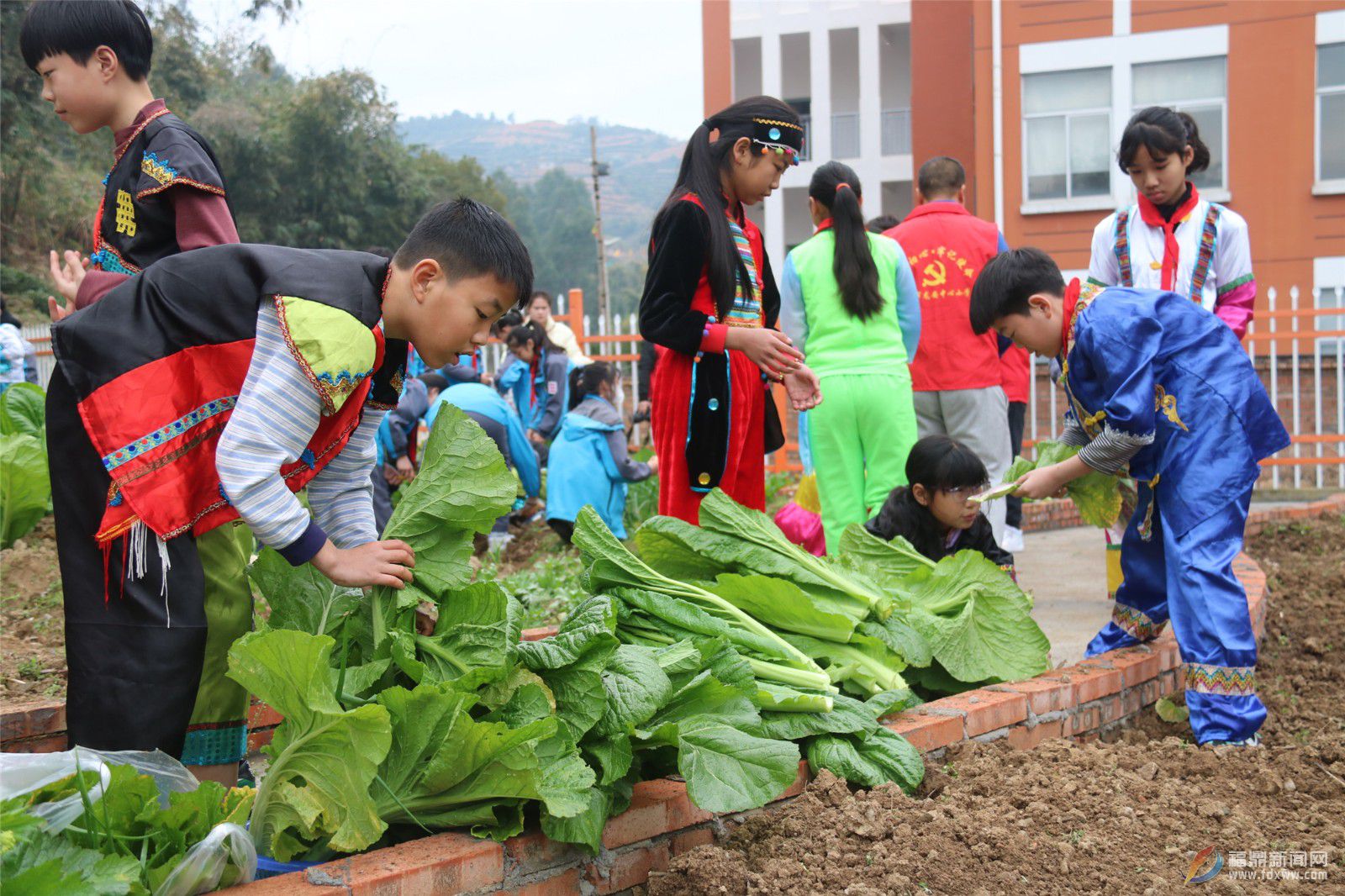 龍安中心小學：學雷鋒 見行動