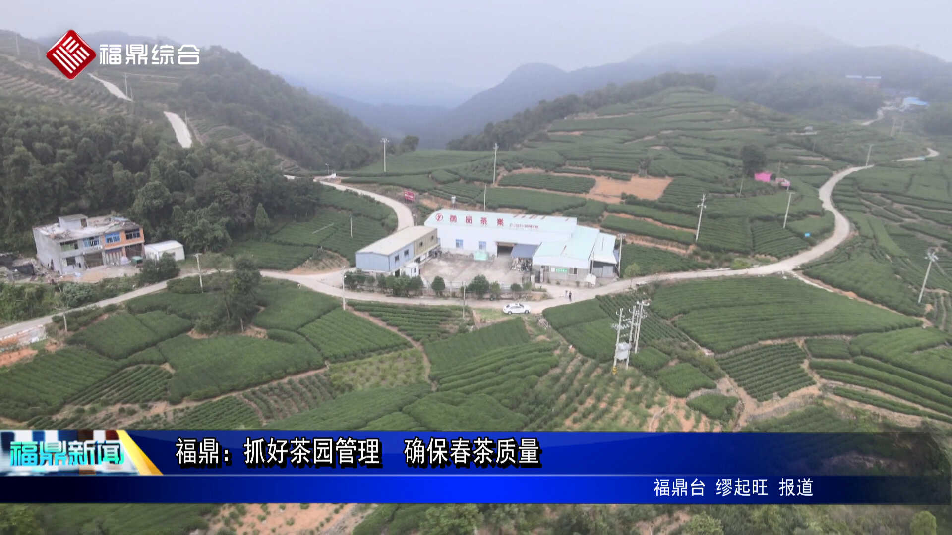 福鼎：抓好茶園管理 確保春茶質量