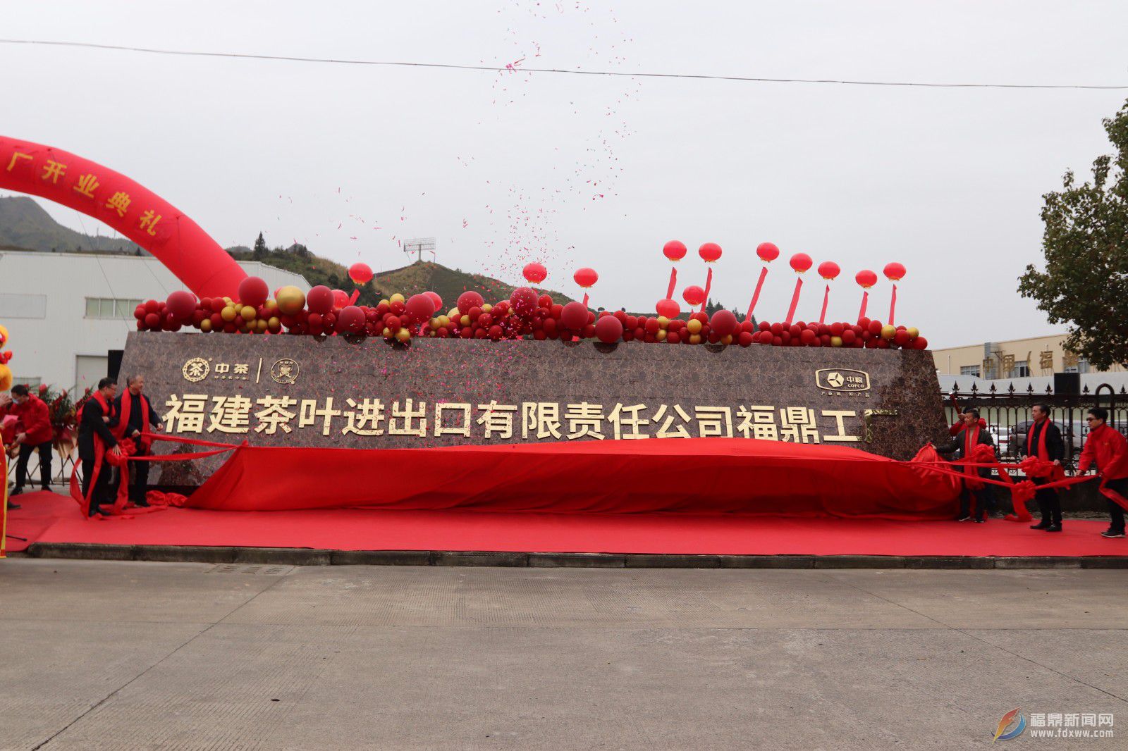 央企入駐福鼎，為福鼎白茶發展注入新活力