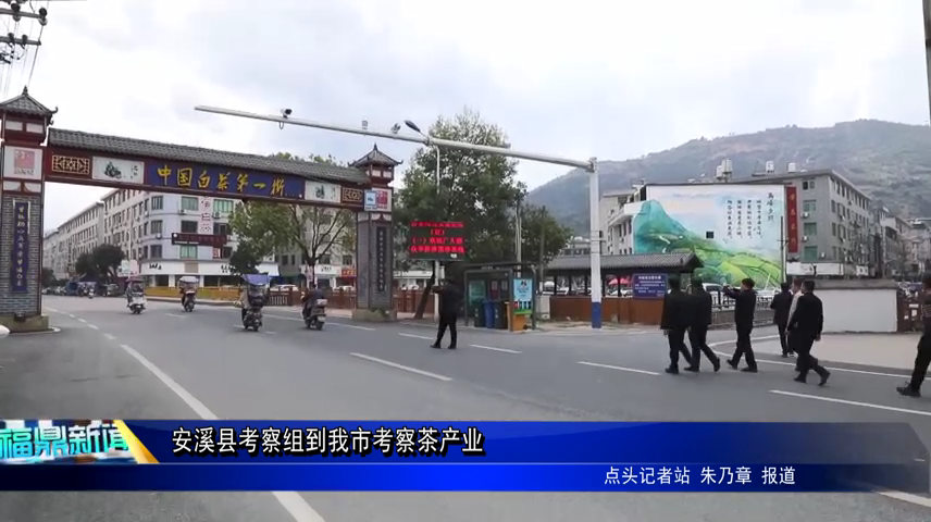 安溪縣考察組到我市考察茶產業