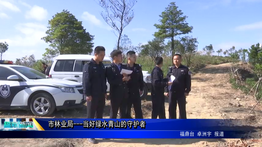 市林業局—當好綠水青山的守護者