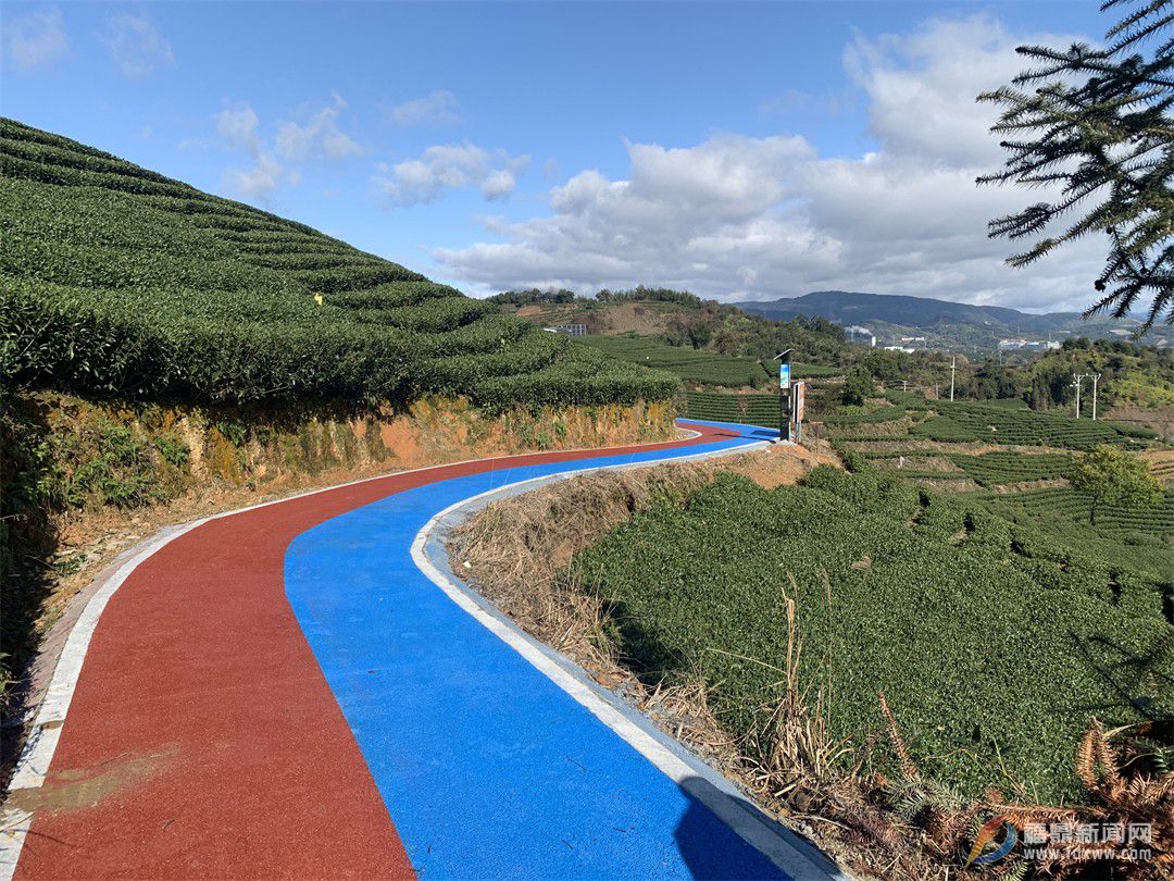 加快生態茶園山路改造 扮靚茶農“致富路”