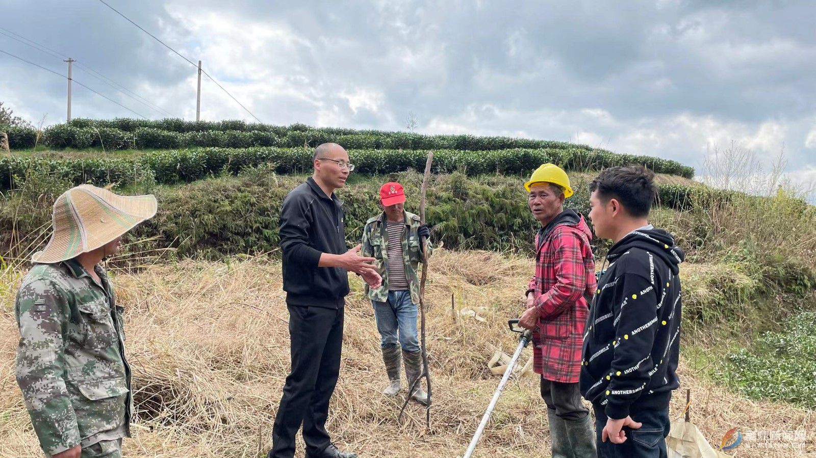 出臺惠農政策 拋荒整治再發力