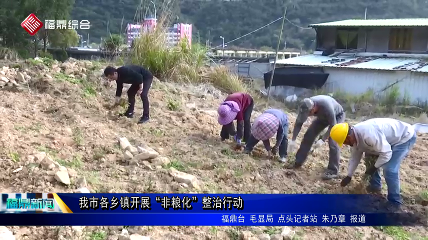我市各鄉鎮開展“非糧化”整治行動