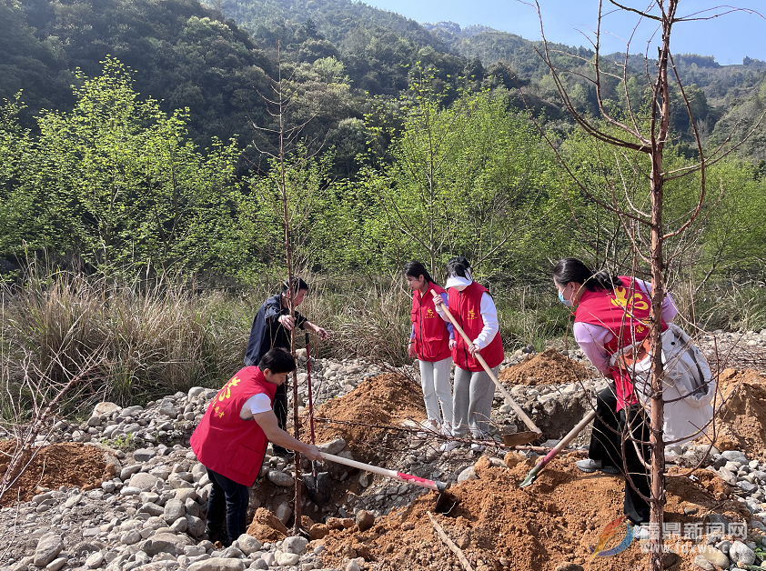 我市建立“互聯網+全民義務植樹”基地