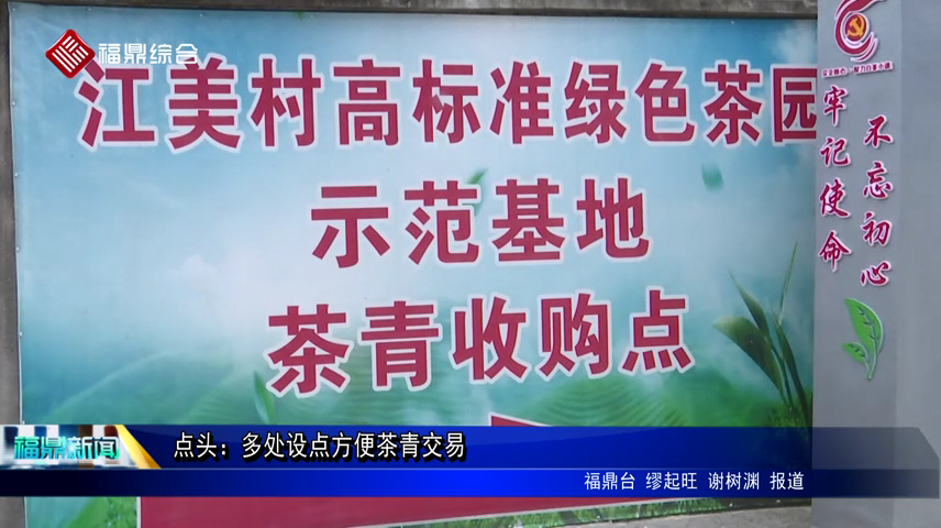點頭：多處設點方便茶青交易