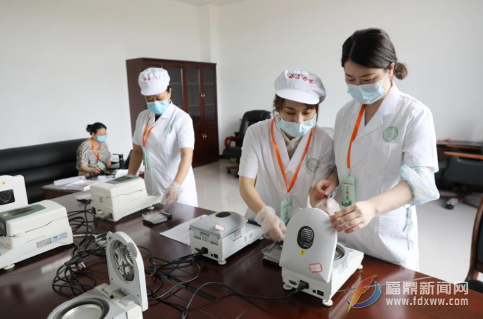 第五屆福鼎白茶特色小鎮（點頭）福鼎白茶斗茶賽將于6月10開啟