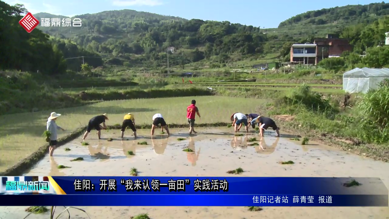 佳陽：開展“我來認領一畝田”實踐活動