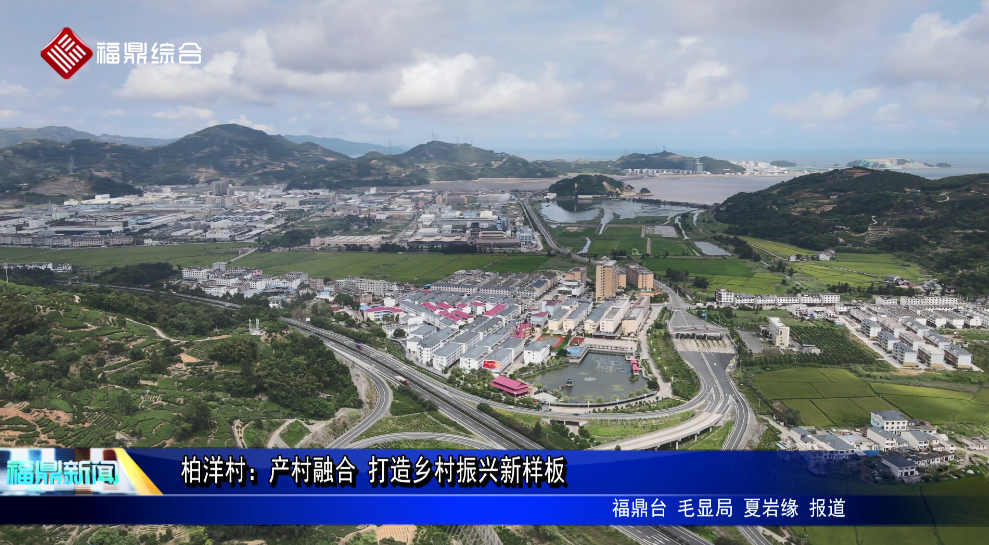 柏洋村：產村融合 打造鄉村振興新樣板