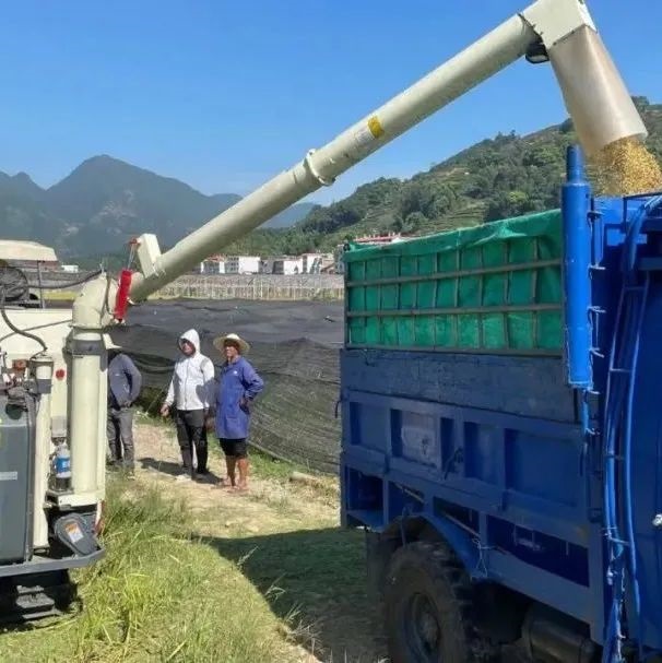 厲害了，全程機械化！