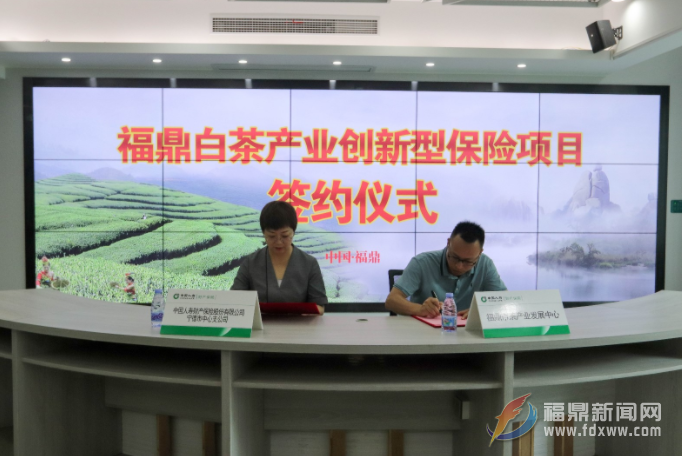 我市舉行白茶產業創新型保險項目合作協議簽約儀式