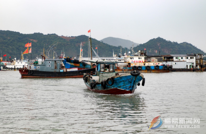 福鼎：漁民上岸，漁船進港，防臺防疫兩不誤