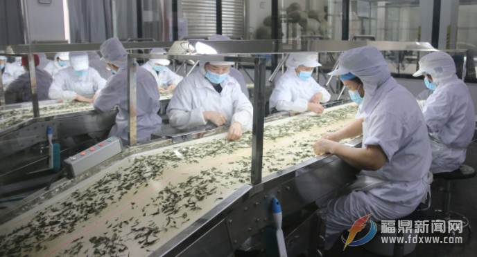 品品香：科技引領企業 創新助推發展