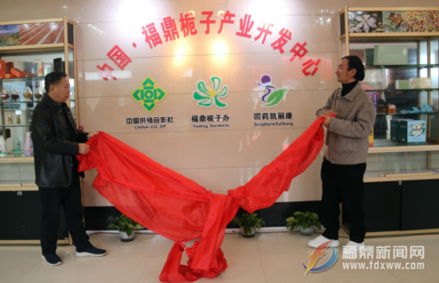 中國·福鼎梔子產業開發中心揭牌
