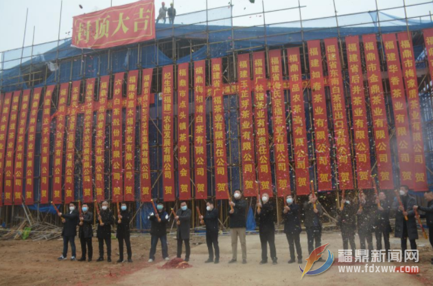 點頭鎮白茶文化展示中心封頂 忠和橋通橋