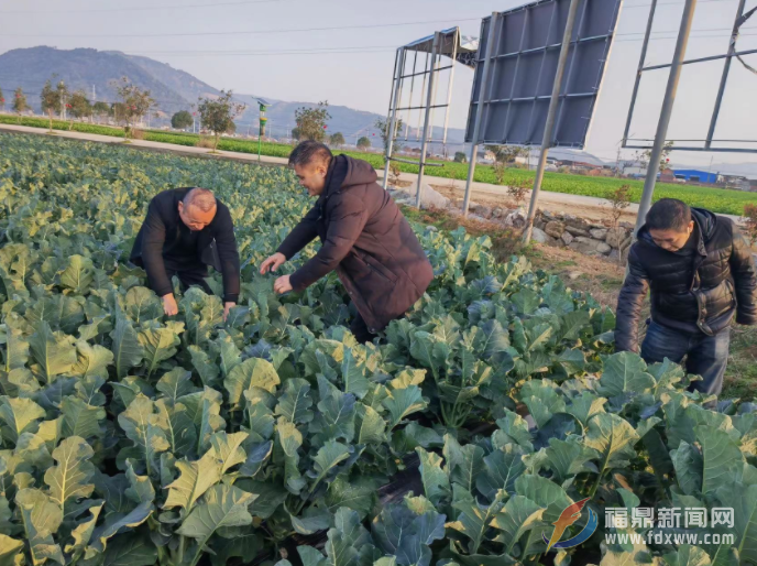 寒潮來襲！農技專家來“防寒”