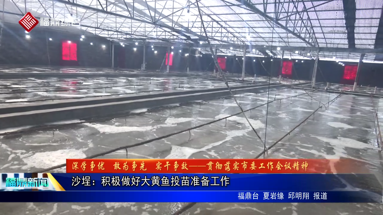 沙埕：積極做好大黃魚投苗準備工作