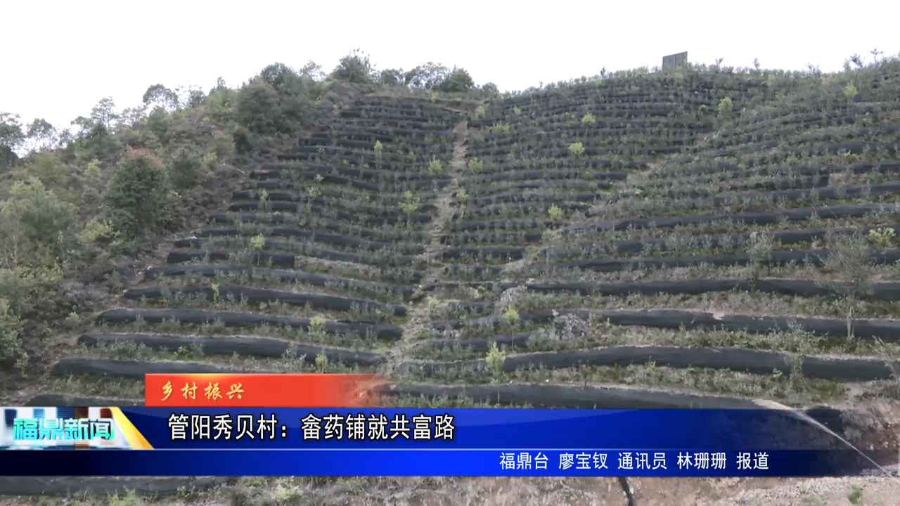 管陽秀貝村：畬藥鋪就共富路
