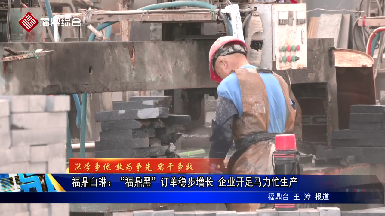 福鼎白琳：“福鼎黑”訂單穩步增長 企業開足馬力忙生產