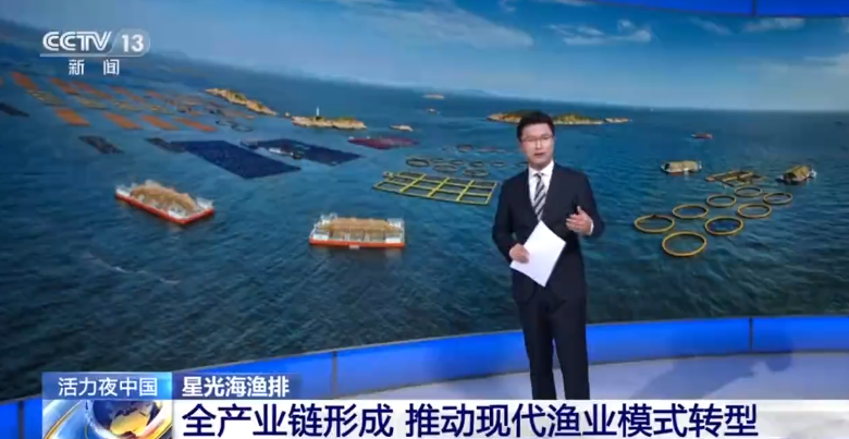 厲害了！寧德大黃魚養殖份額占全國80%，央視近18分鐘全程解密