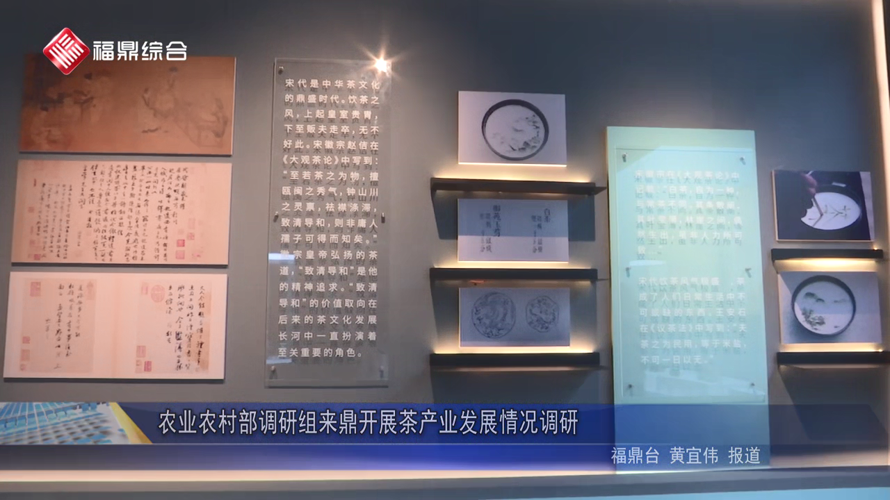 農業農村部調研組來鼎開展茶產業發展情況調研