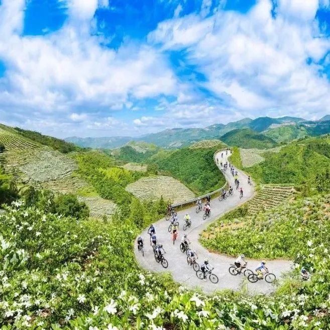 福鼎：閩浙邊界“聯建”，凝聚振興合力