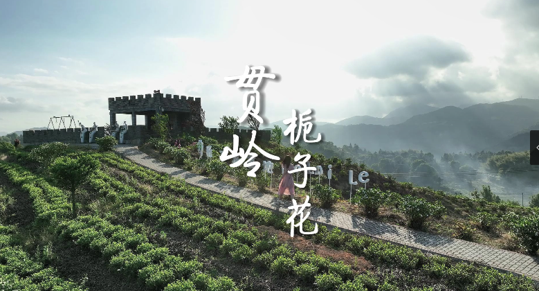 風里，已經有了梔子花香，那是初夏的味道