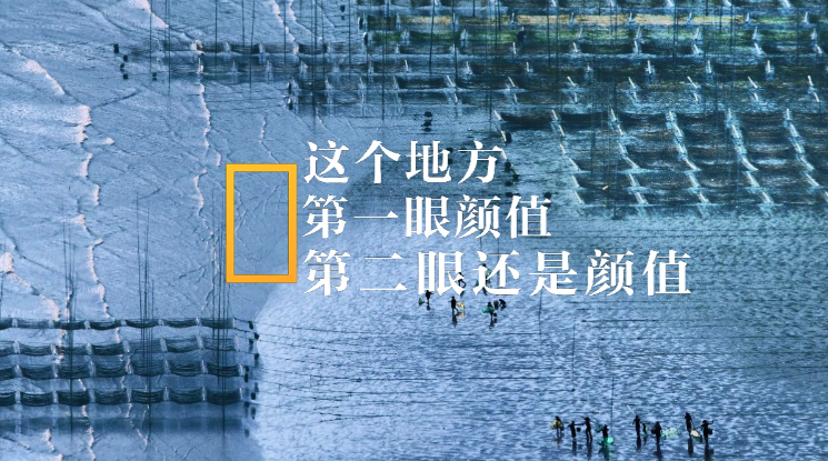 霞浦灘涂美如畫