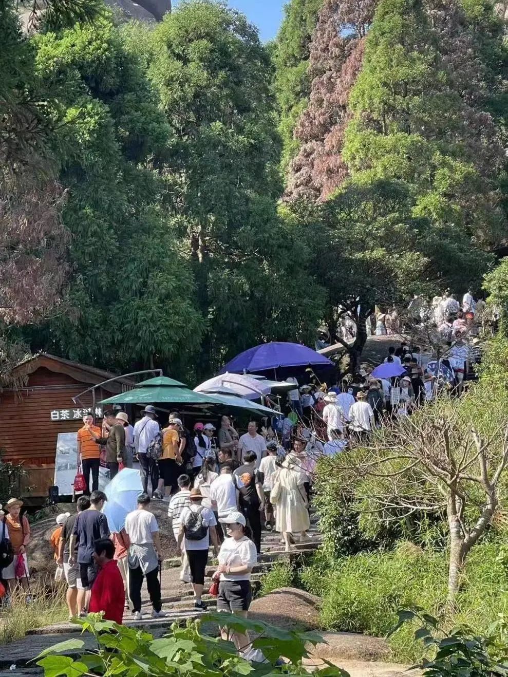 【網絡中國節·中秋】人?山?人?海?！太姥山，太火爆！
