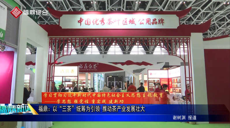 福鼎：以“三茶”統籌為引領 推動茶產業發展壯大