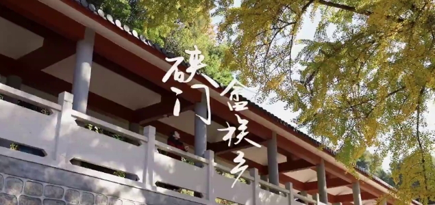從山里來，到海邊去。去瑞云村賞銀杏，去石蘭村看城堡，去漁井村感受大海的孤獨遼遠。第二期福鼎周邊游走進硤門畬族鄉，文字攻略在視頻最后。