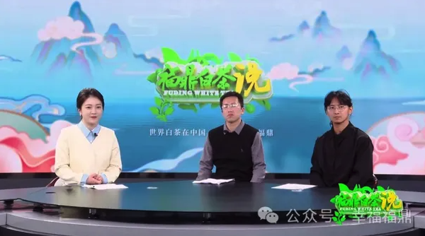 《福鼎白茶說》——新“茶人”，新“茶經”