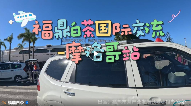 福鼎白茶又出國了！這次去了……