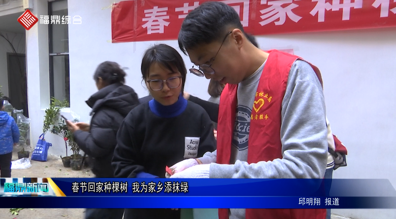 春節回家種棵樹 我為家鄉添抹綠
