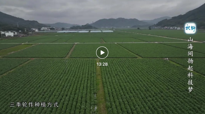 【視野】山海間揚起科技夢