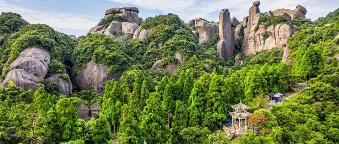 來福鼎，上春山！